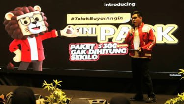 Lion Parcel, Layanan Minipack