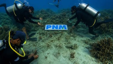 Upaya PNM Hadirkan Masa Depan Generasi Muda Lewat Pelestarian Laut