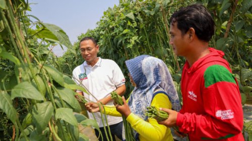 Pemanfaatan Teknologi untuk Pertanian Bukan Lagi Pilihan