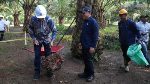 Sawit Jadi Energi Terbarukan, Uni Eropa Terpesona
