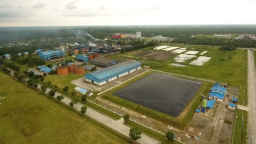 Gas Limbah Sawit Disulap Jadi Listrik Bersih
