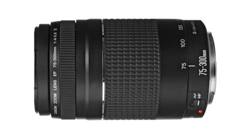 Canon EF 75-300mm f/4-5.6 III: Lensa Telefoto Terjangkau untuk Hasil Foto Tajam dan Fokus Cepat!