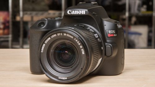 1. Canon EOS 250D (Rebel SL3) &ndash; Ringkas, Serbaguna, dan Tajam, 2. Nikon D5600 &ndash; Warna Natural dan Fleksibel, 3. Canon EOS 90D &ndash; Resolusi Tinggi untuk Hasil Lebih Detail, 4. Nikon D7500 &ndash; Andal untuk Low Light dan Video, 5. Alternatif Mirrorless: Sony A6400 &amp; Canon M50 Mark II, DSLR Tetap Unggul untuk Fleksibilitas dan Kontrol, Top 5+ Kamera DSLR Setara Kamera HP Flagship: Pilihan Terbaik untuk Hasil Foto Lebih Profesional"