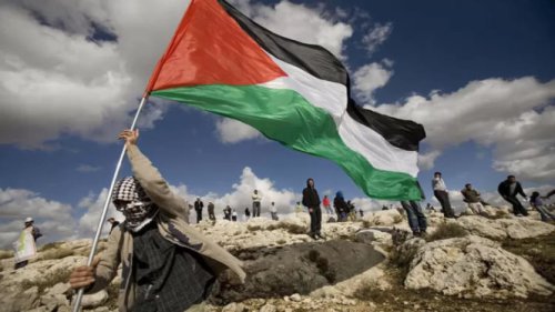 Top 10+ Cara Warga Gaza Bertahan Hidup di Tengah Blokade: Dari Dapur Umum hingga Makanan dari Reruntuhan