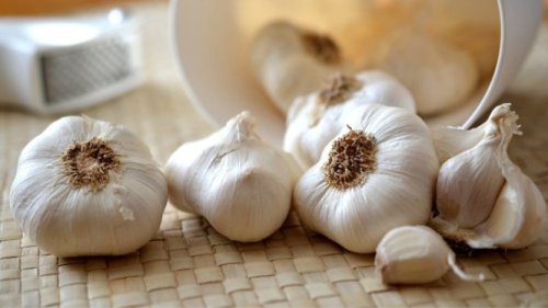 Top 8+ Obat Herbal TBC Terbaik untuk Mempercepat Pemulihan Paru-Paru