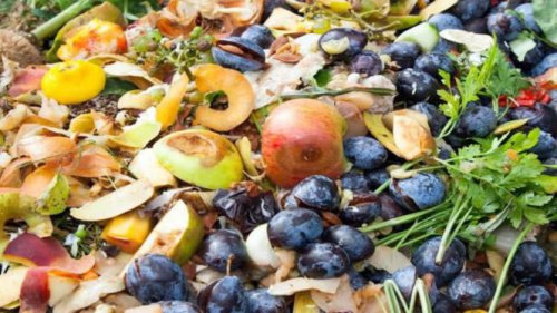 Cara Membuat Pupuk dari Sampah Buah: Solusi Hemat, Ramah Lingkungan, dan Menyuburkan Tanaman