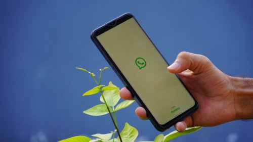 Top 5+ Trik Ampuh Kendalikan Grup WhatsApp di Android, Bye Notifikasi!