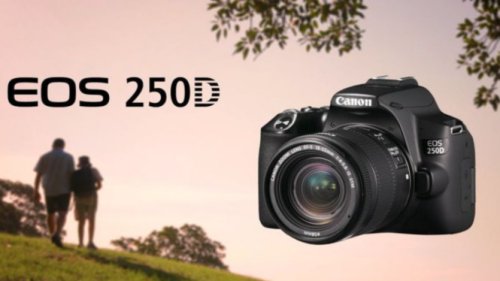 Canon EOS 250 D: Kamera DSLR   yang memikat Para Fotografer baik Pemula Maupun Profesional!
