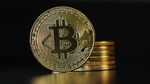 Bitcoin Meledak Lagi! Investor Lama Kini Panen Cuan Puluhan Persen