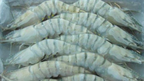 Awal Temuan: Pengembalian Udang Beku oleh AS, Penyebab Kontaminasi: Pabrik Baja di Kawasan Cikande, Risiko Kesehatan Akibat Paparan Cs-137, Langkah-Langkah Dekontaminasi, Kesimpulan, Asal Muasal Kontaminasi Cesium-137 di Cikande: Semua Dimulai dari Udang Beku!