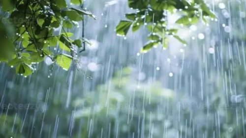 1. BRIN Konfirmasi Temuan Mikroplastik dalam Air Hujan Jakarta, 2. Penelitian Ilmiah Mendukung Temuan Ini, 3. Istilah "Hujan Beracun": Apa Artinya?, 4. Apakah Hujan Mikroplastik Benar-Benar Berbahaya?, Kesimpulan: Saatnya Bertindak Bijak, Benarkah Hujan di Jakarta Mengandung Mikroplastik Beracun? Ini Faktanya!