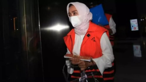 Latar Belakang Perkara: Bisnis atau Korupsi?, Penjelasan Ahli: Apa Bedanya Rehabilitasi, Abolisi, dan Amnesti?, Kontroversi: Apakah Rehabilitasi Dini Melanggar Asas Hukum?, Dampak Luas: Pesan kepada BUMN dan Dunia Usaha, Kesimpulan: Antara Hak Prerogatif dan Tanggung Jawab Konstitusional, Rehabilitasi Ira Puspadewi Tuai Kontroversi, Benarkah Langgar Prosedur Hukum?
