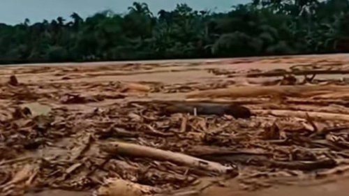Gubernur Sumut Diminta Selidiki: Apakah Banjir Bawa Kayu dari Pembalakan Liar?