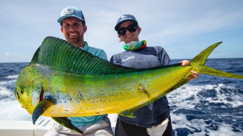 Top 10+ Pilihan Joran Pancing Laut Terjangkau di 2025 untuk Menaklukkan Ikan Ukuran Besar