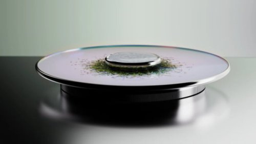 Cognitive Bloom AI: Ubah Data Mental Menjadi Taman Virtual