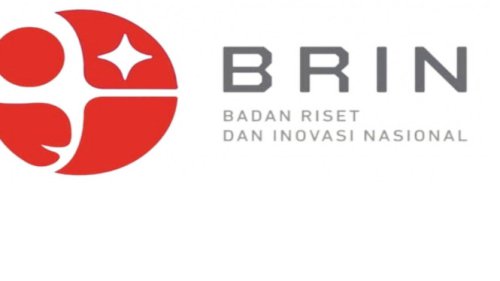 BRIN Temukan Spesies Ngengat Baru di Papua dan Sulawesi