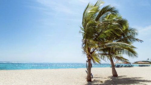 Keajaiban Taman Nasional Teluk Cenderawasih, Terumbu karang TNTC, Pesona Pulau-Pulau Eksotis, Teluk Wondama, Wisata Religi dan Sejarah, Akses dan Tips Wisata, Keindahan Teluk Wondama, Pusat Peradaban di Papua yang Tak Akrab di Telinga