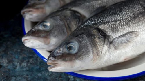 Top 7+ Tips Menyimpan Ikan di Kulkas agar Tetap Segar dan Tahan Lama