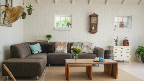 Top 5+ Jenis Tanaman Hias yang Cocok Diletakkan di Ruang Tamu Menurut Feng Shui, Cuan Mengali