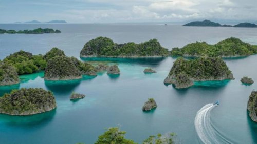 UNESCO Tetapkan Raja Ampat sebagai Cagar Biosfer Dunia