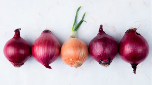 Masak Makin Irit! Ini 7 Bumbu Dapur yang Bisa Ditanam Sendiri di Rumah