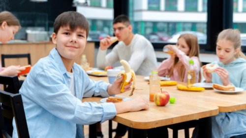 Penyebab Anak Picky Eater Meski Makanan Bergizi Tersedia, Strategi Menghadapi Picky Eater di Era MBG, Peran Orang Tua dan Sekolah Sangat Penting, Perlunya Pendekatan Profesional Bila Diperlukan, Anak Picky Eater di Era Makan Bergizi Gratis, Begini Solusinya