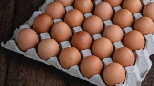Cara Menyimpan Telur Agar Awet hingga Berminggu-minggu, Anak Kos Wajib Tahu!