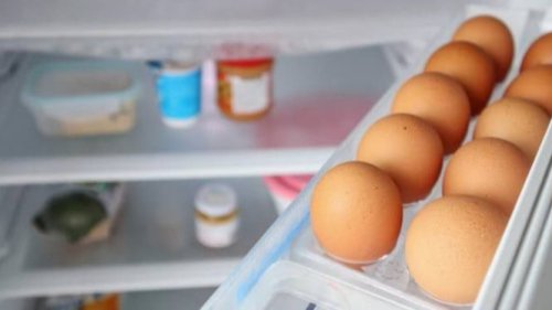 Ternyata Salah! Ini Alasan Telur Tak Boleh Disimpan di Pintu Kulkas
