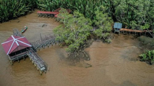 Terungkap! Lokasi Paling Sering Muncul Kuyang di Kalimantan