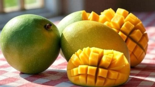 Top 7+ Tips Memilih Mangga Harum Manis: Cek Aroma, Tekstur, dan Warna!
