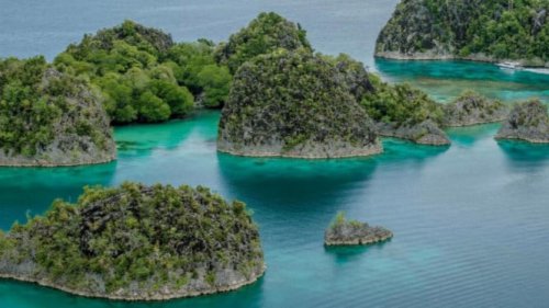 Raja Ampat: Mengapa Surga Diving Ini Masih Nomor Satu di 2025?