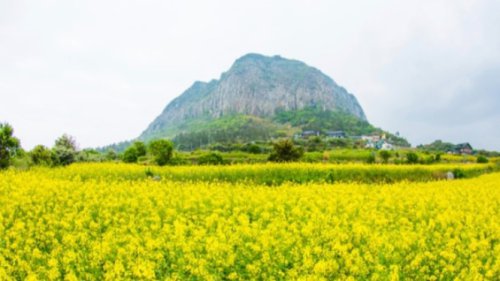 Top 5+ Lokasi Syuting Drama Korea Populer di Jeju, Wajib Didatangi Saat Berlibur!