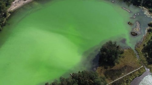 Terungkap! Alasan Air di Telaga Warna Dieng Berubah Warna karena Emosi Dewi Khayangan