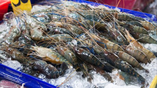 Top 7+ Tips Memilih Udang Segar di Pasar agar Tidak Amis, Jangan Sampai Tertipu Tampilan Luar!