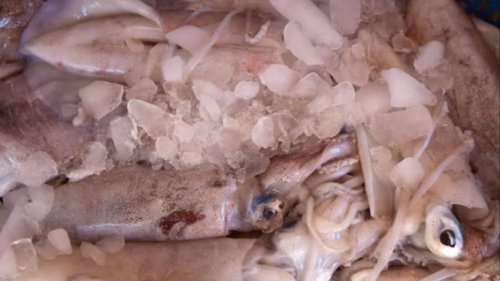 1. Cuci dan Bersihkan Cumi Sebelum Disimpan, 2. Keringkan dengan Tisu atau Lap Bersih, 3. Simpan dalam Wadah Kedap Udara atau Plastik Ziplock, 4. Tambahkan Perasan Jeruk Nipis atau Jahe (Opsional), 5. Simpan di Kulkas (Chiller) Jika Ingin Dimasak dalam 1&ndash;2 Hari, 6. Bekukan di Freezer Jika Ingin Disimpan Lebih dari 2 Hari, 7. Jangan Membekukan Ulang Cumi yang Sudah Dicairkan, Top 7+ Tips Menyimpan Cumi di Kulkas agar Tahan Lama dan Tetap Segar