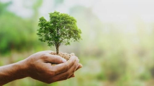 Kenapa Bisnis Sustainable Jadi Tren? Ini 7 Manfaat Jangka Panjangnya