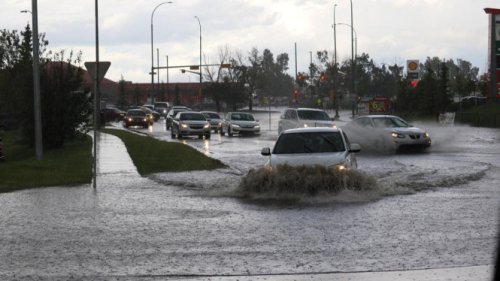 Terinspirasi dari Putroe Sambinoe Meutuah, Begini Cara Optimal Membantu Korban Banjir Sumatra