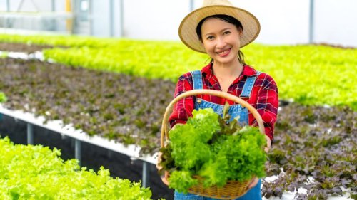 Pelan Tapi Cuan, 5 Cara Mengubah Hobi Jadi Penghasilan Tambahan ala Slow Living
