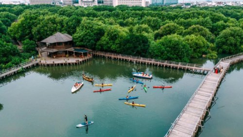 Hutan Mangrove, Taman Wisata Alam Angke Kapuk, Kepulauan Seribu: Pulau Bidadari, Setu Babakan, Taman Suropati, Pulau Pari, Jakarta Juga Punya Wisata Alam, Inilah Destinasi yang Cocok Buat Healing