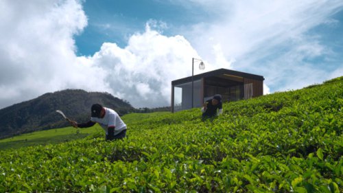Top 7+ Rekomendasi Hotel Cabin Affordable, Sensasi Nginap di Alam yang Asri