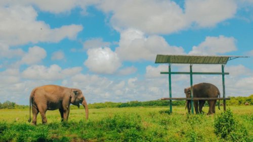 Tren Meningkat, 6 Juta Wisatawan Datangi Taman Nasional dan Taman Wisata Alam