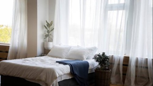 Top 5+ Manfaat Tak Terduga Punya Tanaman Hias di Kamar Tidur