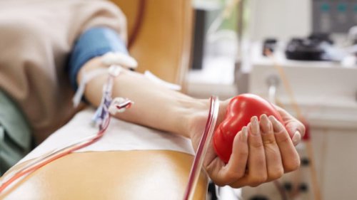Siapa Sangka, Donor Darah Bisa Tekan Peningkatan Risiko Penyakit Jantung