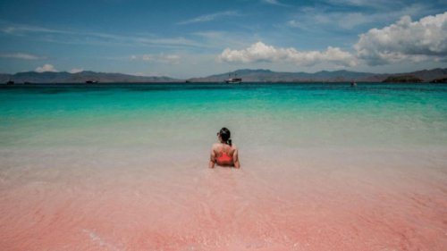 Turis China ke Labuan Bajo Melonjak 350 Persen Berkat Kebijakan Baru VoA