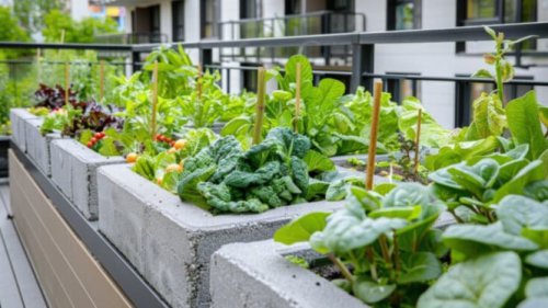 Top 6+ Manfaat Urban Farming, Jadi Ladang Cuan Rumahan hingga Dorong Ketahanan Pangan