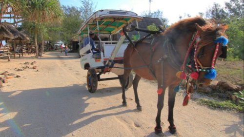Larangan Kendaraan Bermotor di Gili Trawangan, Gimana Kalau Liburan?