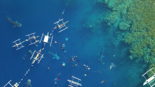 Keindahan Alam Gorontalo yang Eksotis, Tempat Wisata Populer di Gorontalo, Kuliner Khas Gorontalo yang Menggugah Selera, Eksplorasi Gorontalo di Ibu Kota, Daya Tarik Kota Gorontalo: Keindahan Alam hingga Kuliner Khas yang Menggoda