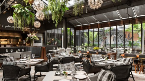 Top 5+ Rekomendasi Restoran di Senopati untuk Menikmati Ragam Kuliner Dunia