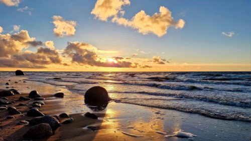 Gak Melulu Pantai, Intip Serunya Slow Travel Jelajah Pameran Lukisan Maestro Dunia di Bali