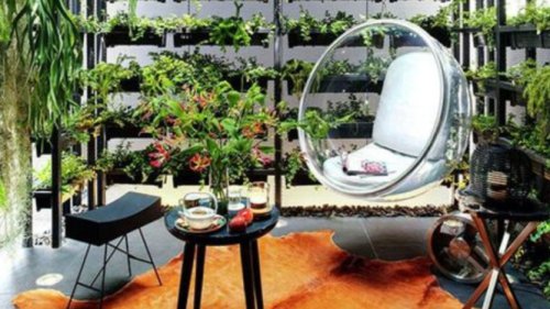 Tips Bangun Taman Vertikal Cantik di Rumah Mungil, Ide Dekorasi Hemat Ruang dan Minim Budget